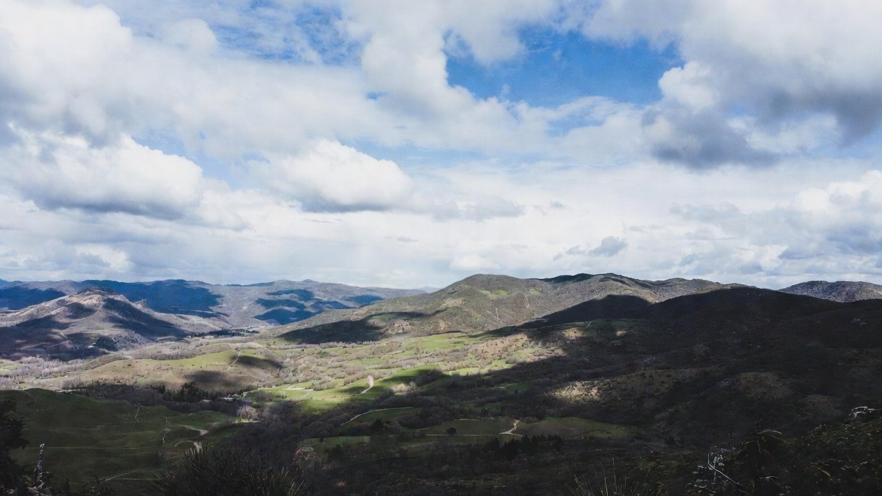 natural gas forecast