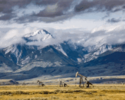 Natural gas production in Alberta