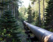 H2S scavengers optimization