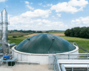 H2S removal from Biogas