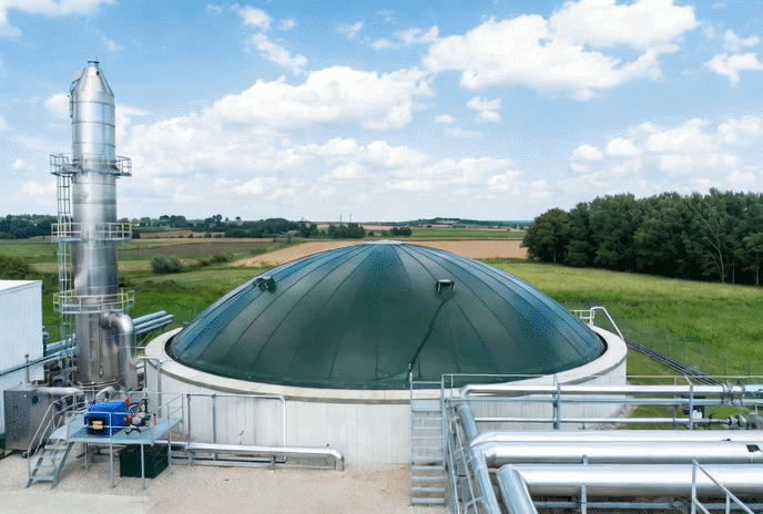 H2S removal from Biogas