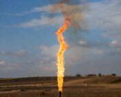 H2S removal from Biogas