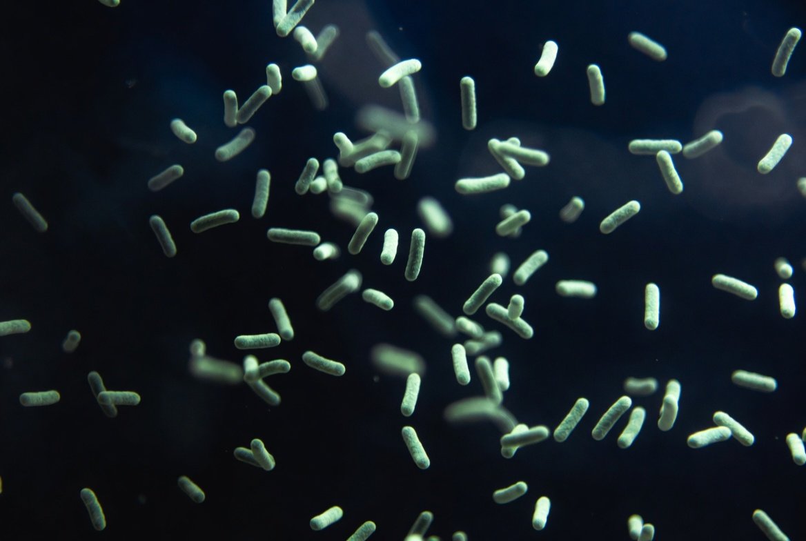 origins of hydrogen sulfide
