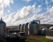 H2S removal from Biogas