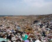 H2S removal from landfill